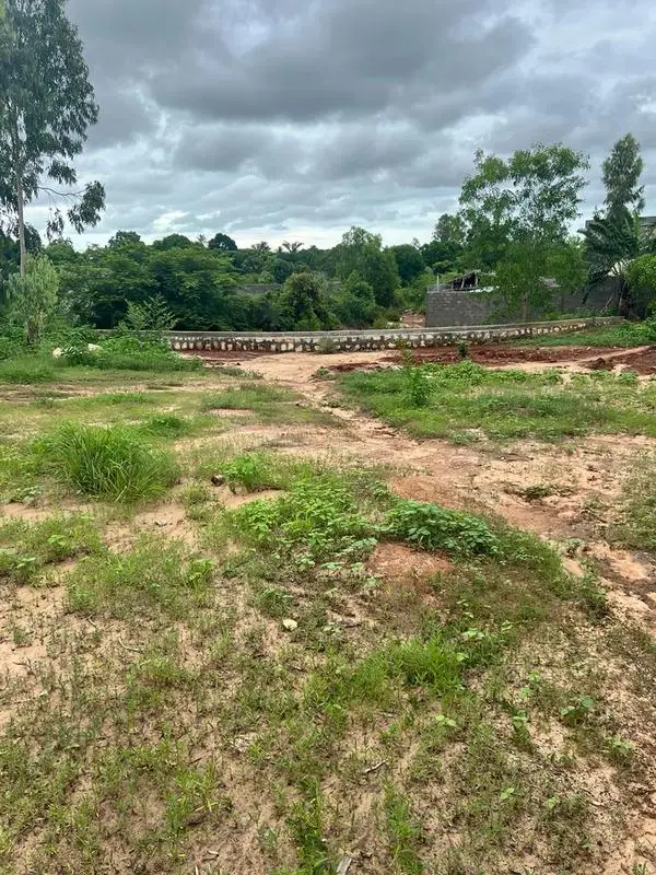 vente terrain - photo 1