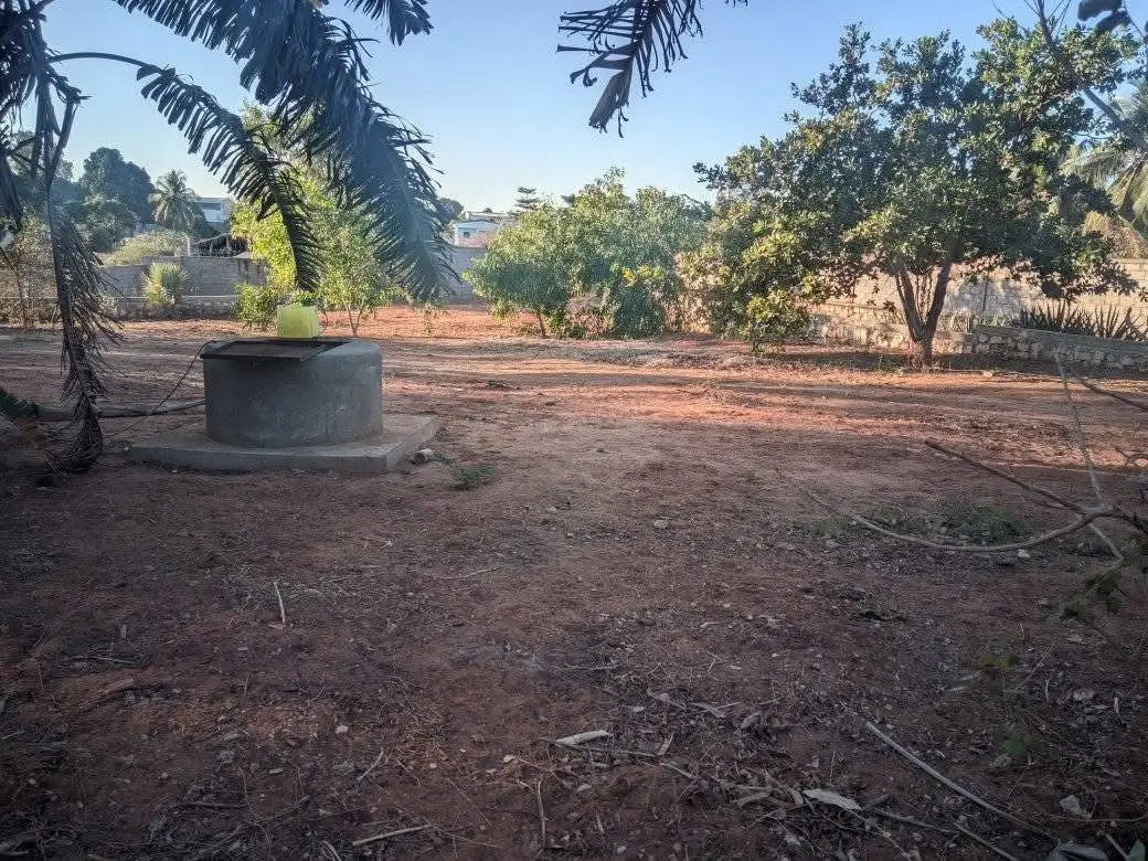 vente terrain - photo 2