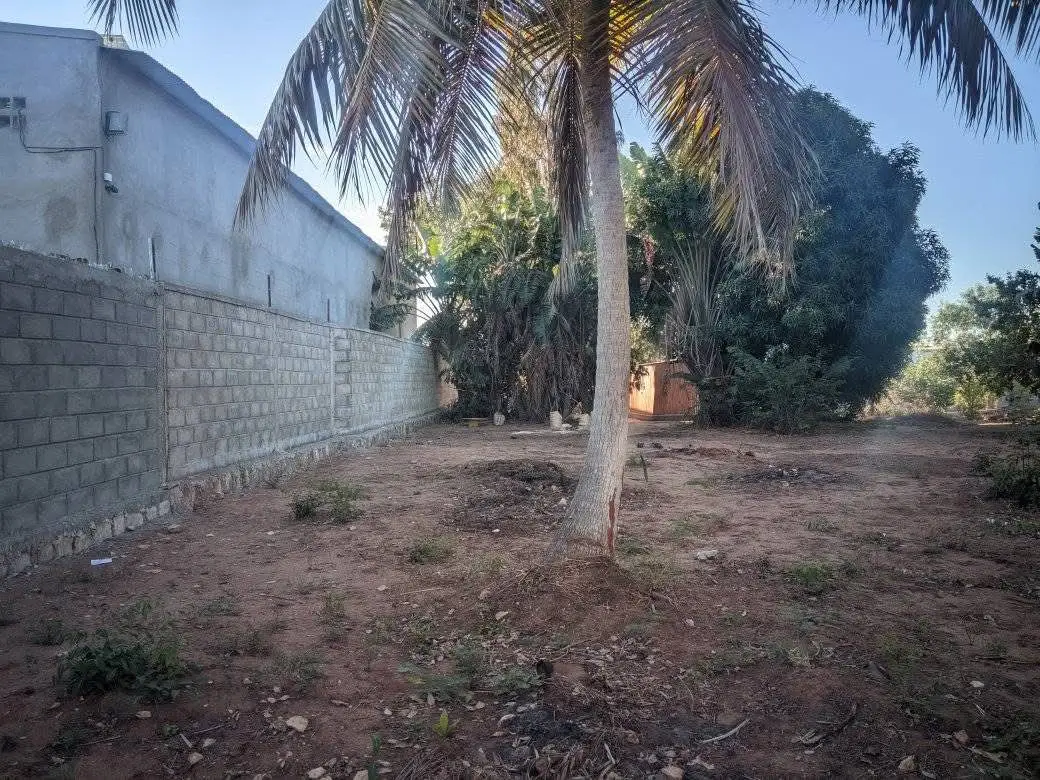vente terrain - photo 3
