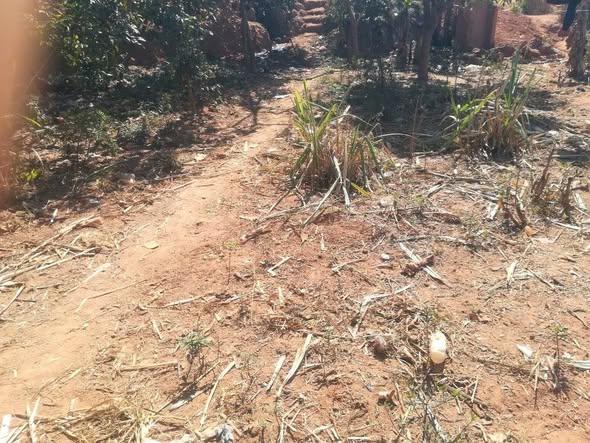Terrain 150 m² à vendre — Itaosy - photo 3