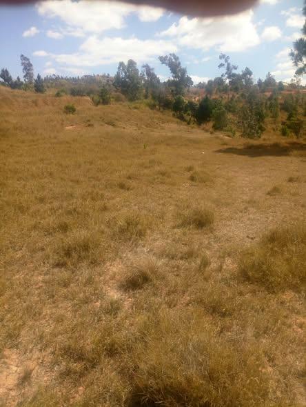 Terrain 1 500 m² à vendre — Ville - photo 2