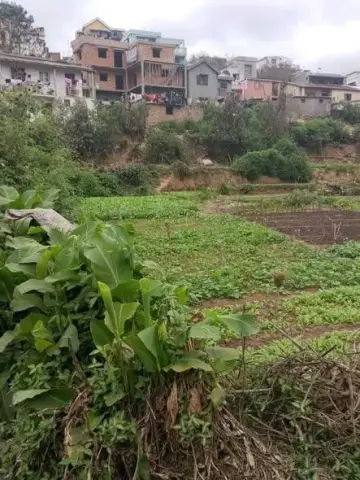 Terrain 500 m² à vendre — Sabotsy Namehana