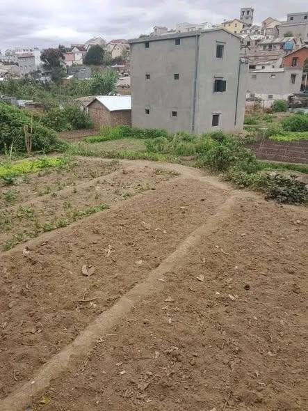 Terrain 500 m² à vendre — Sabotsy Namehana - photo 2