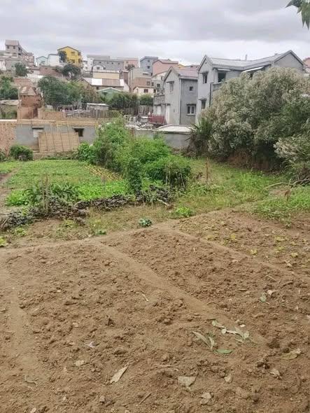 Terrain 500 m² à vendre — Sabotsy Namehana - photo 3
