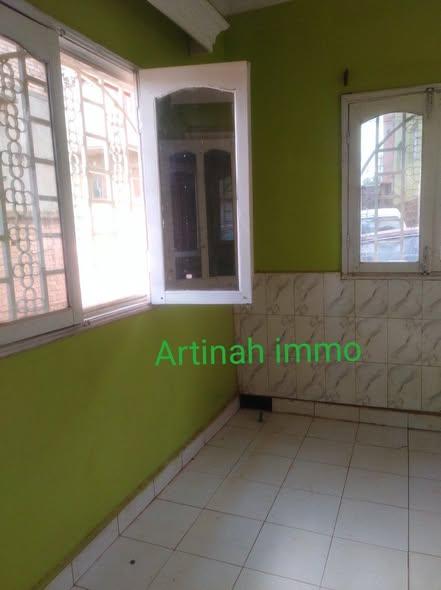 Appartement 1 ch. à louer — Amboditsiry - photo 2
