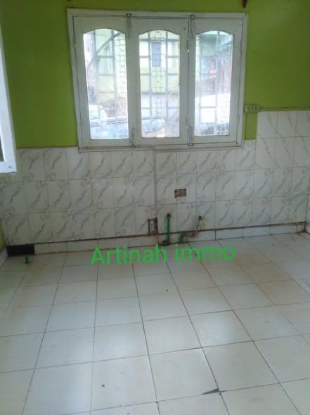 Appartement 1 ch. à louer — Amboditsiry - photo 5