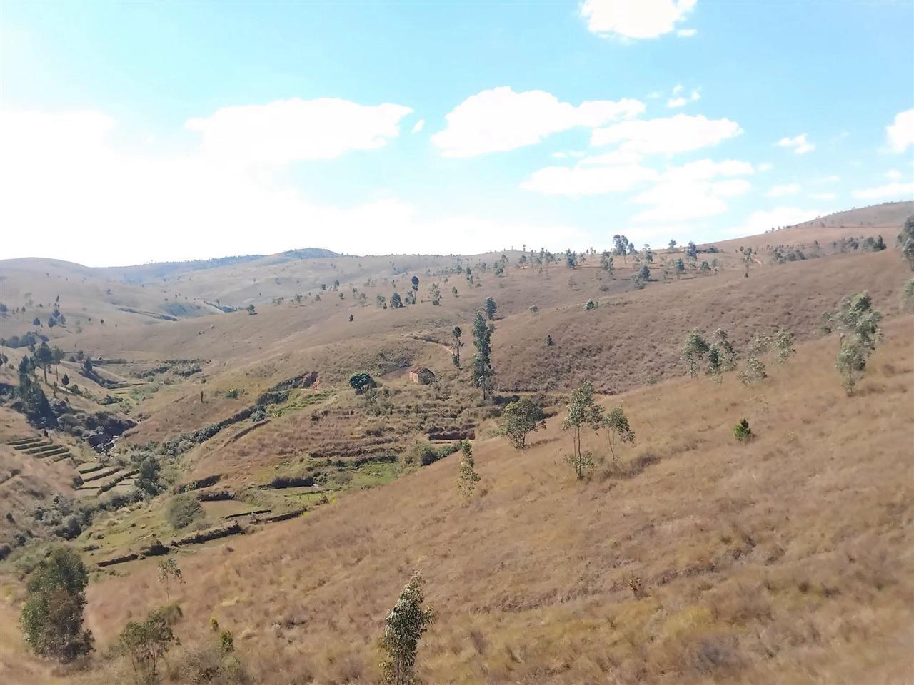 Propriété de 28 ha avec maison et source — Merinavaratra, Ambohidratrimo - photo 1