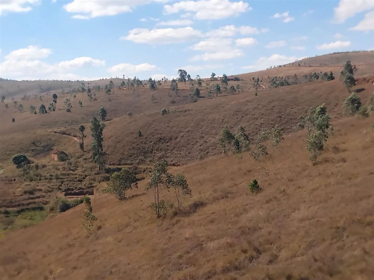 Propriété de 28 ha avec maison et source — Merinavaratra, Ambohidratrimo - photo 2