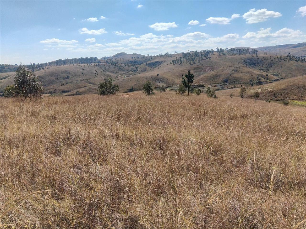 Propriété de 28 ha avec maison et source — Merinavaratra, Ambohidratrimo - photo 6