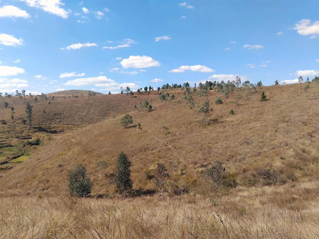 Propriété de 28 ha avec maison et source — Merinavaratra, Ambohidratrimo - photo 7