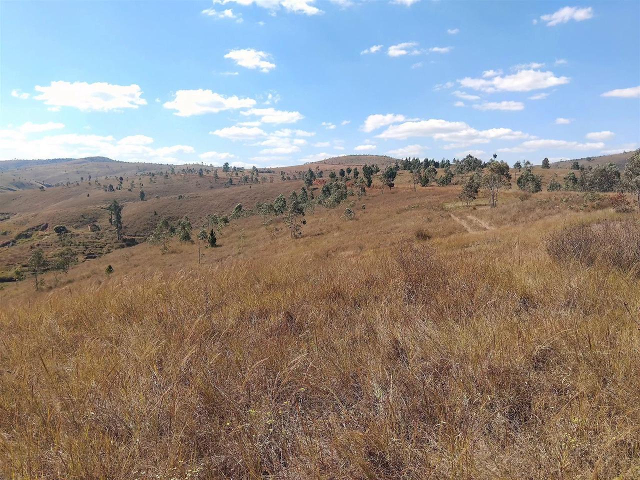 Propriété de 28 ha avec maison et source — Merinavaratra, Ambohidratrimo - photo 8