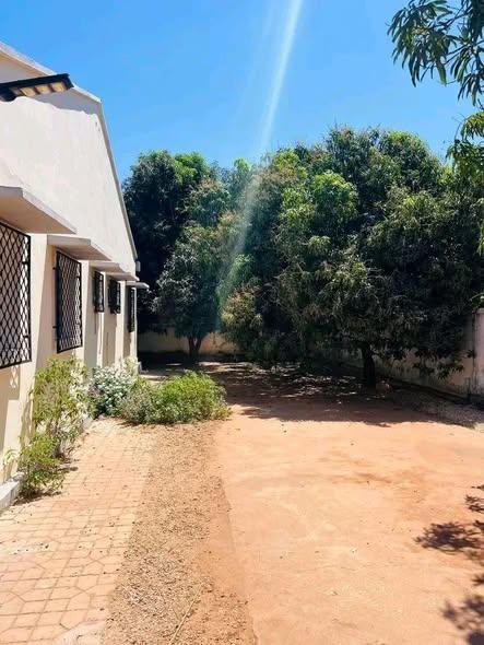 Maison 1 000 m² à vendre — Mahajanga - photo 2