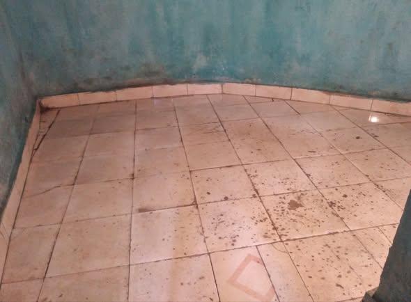 Trano Ahofa 1 ch. à louer — Ambohipo - photo 1