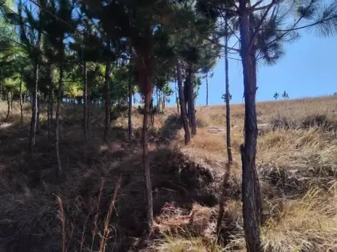 Terrain 5 000 m² à vendre — Anjomakely — 19 000 000 Ar | Fonenako