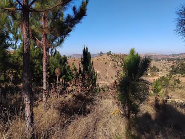 Terrain 5 000 m² à vendre — Anjomakely - photo 4