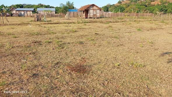 Terrain 400 m² à vendre — Nosy Be - photo 2