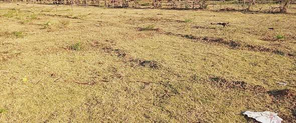 Terrain 400 m² à vendre — Nosy Be - photo 4