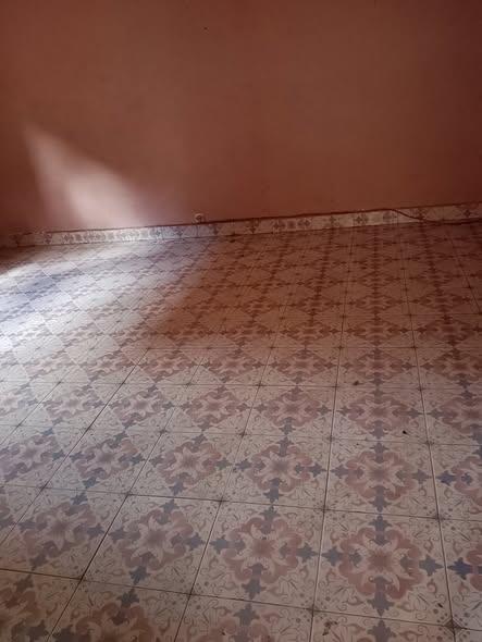 Trano Ahofa 1 ch. à louer — Andavamamba - photo 2
