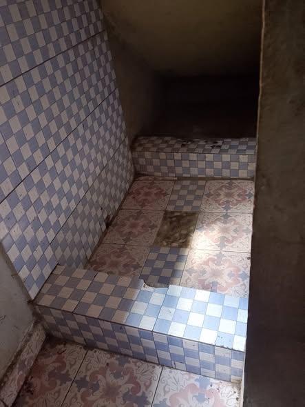 Trano Ahofa 1 ch. à louer — Andavamamba - photo 3