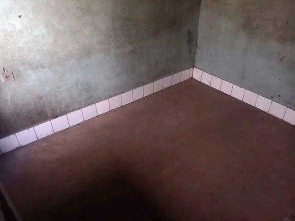 Trano Ahofa 1 ch. à louer — Ampefiloha - photo 2
