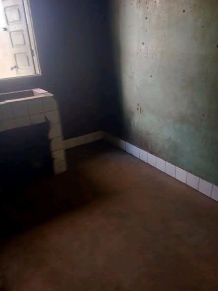 Trano Ahofa 1 ch. à louer — Ampefiloha - photo 3