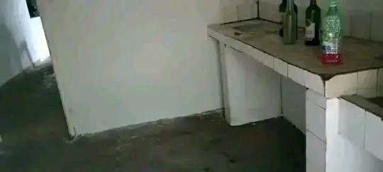 Maison 2 ch. à louer — Ville - photo 4