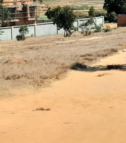 Terrain 300 m² à vendre — Ampitatafika — 9 000 000 Ar | Fonenako
