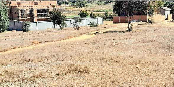 Terrain 300 m² à vendre — Ampitatafika - photo 3