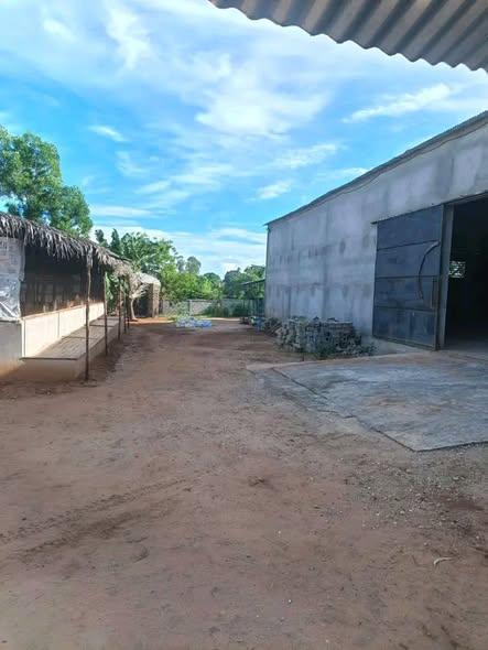Entrepôt à vendre — Mahajanga - photo 1