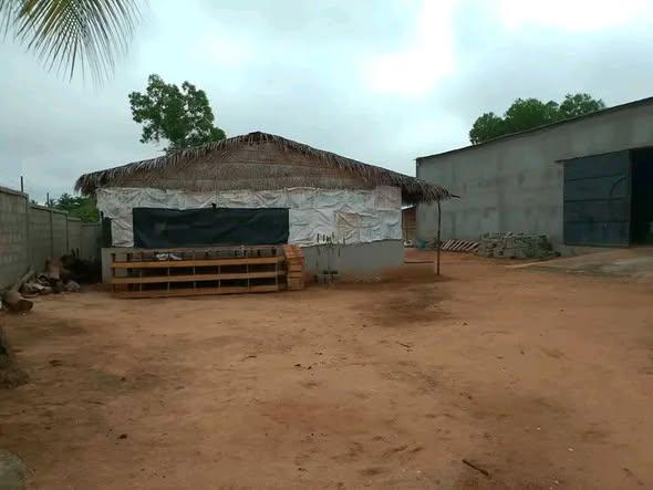 Entrepôt à vendre — Mahajanga - photo 5