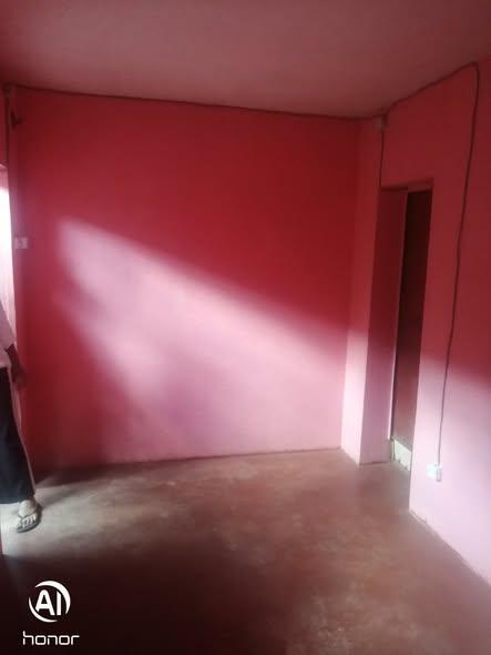 Trano Ahofa 1 ch. à louer — Tanjombato - photo 2