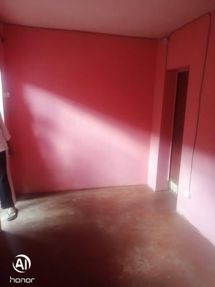 Trano Ahofa 1 ch. à louer — Tanjombato - photo 3