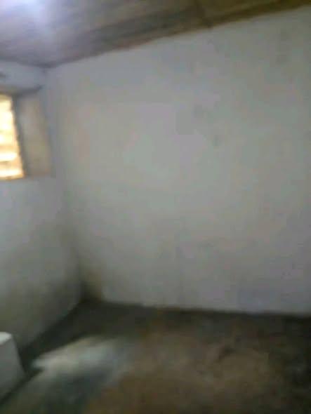 Trano Ahofa 1 ch. à louer — Tsimbazaza - photo 4