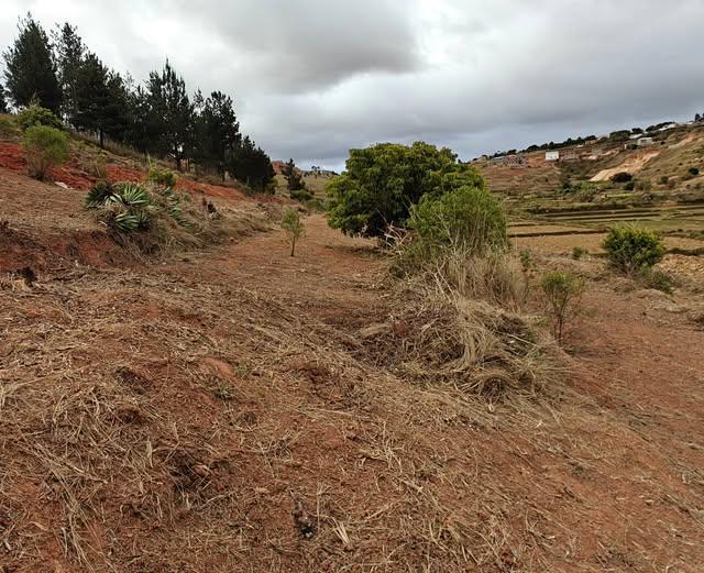 Terrain 3 500 m² à vendre — Ambohimangakely - photo 1