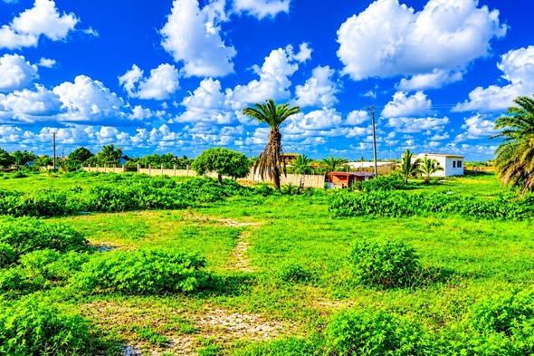 Terrain 20 000 m² à vendre — Toliara - photo 5