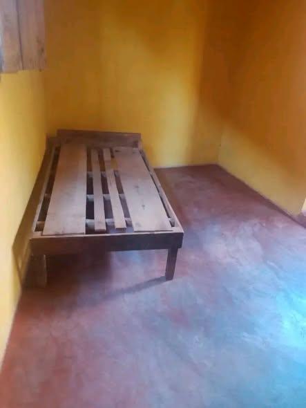 Trano Ahofa 1 ch. à louer — Ankatso - photo 2