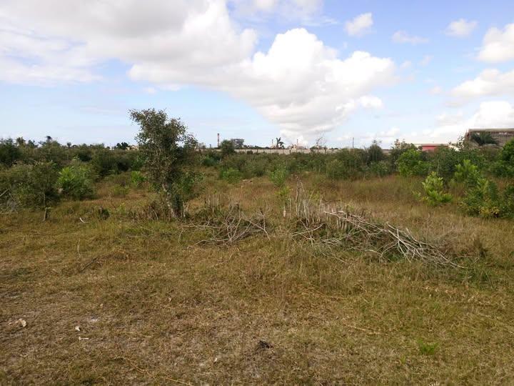 Terrain 1 000 m² à vendre — Toamasina - photo 1