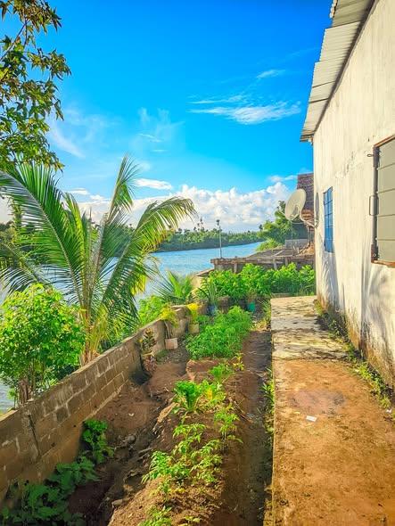 Maison à vendre — Toamasina - photo 4
