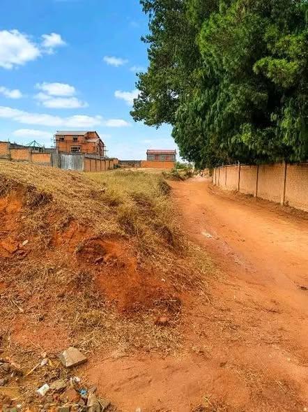 Terrain 10 000 m² à vendre — Ambohimpamonjy, Ampitatafika - photo 3