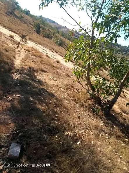 Terrain 10 000 m² à vendre — Ambohimpamonjy, Ampitatafika - photo 4