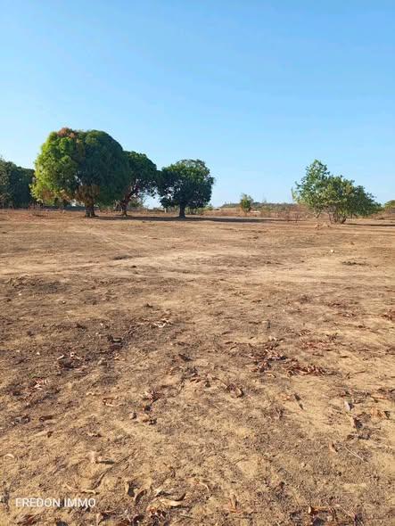 Terre agricole 10 000 m² à vendre — Mahajanga - photo 1