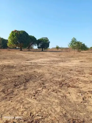Terre agricole 10 000 m² à vendre — Mahajanga