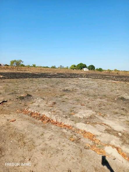 Terre agricole 10 000 m² à vendre — Mahajanga - photo 2