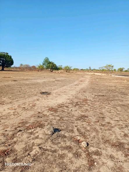 Terre agricole 10 000 m² à vendre — Mahajanga - photo 3