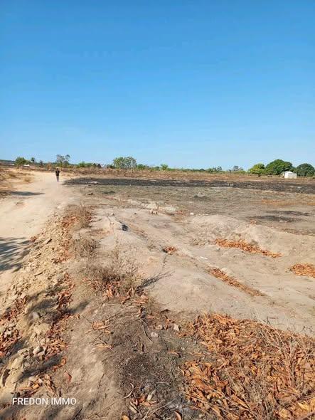Terre agricole 10 000 m² à vendre — Mahajanga - photo 4