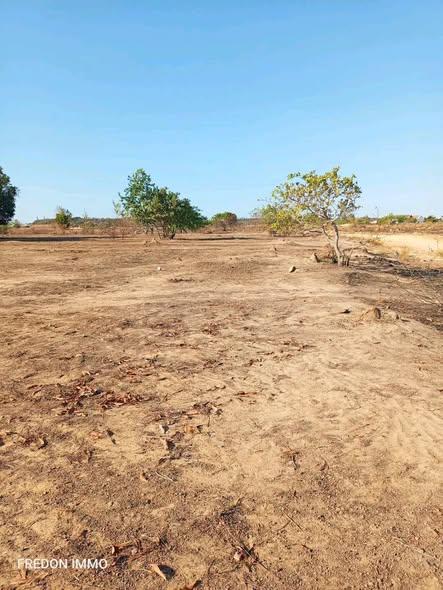 Terre agricole 10 000 m² à vendre — Mahajanga - photo 5