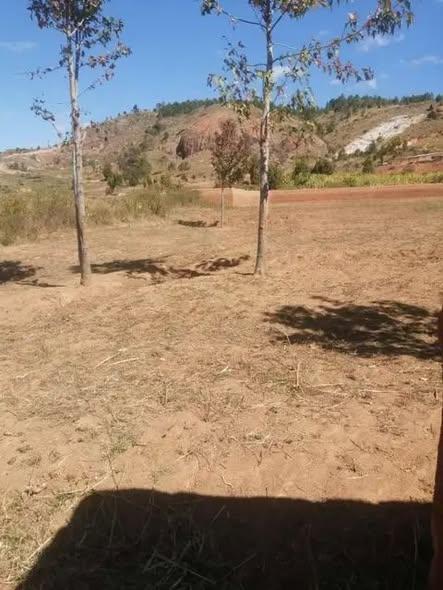 Terrain à vendre — Antananarivo - photo 3