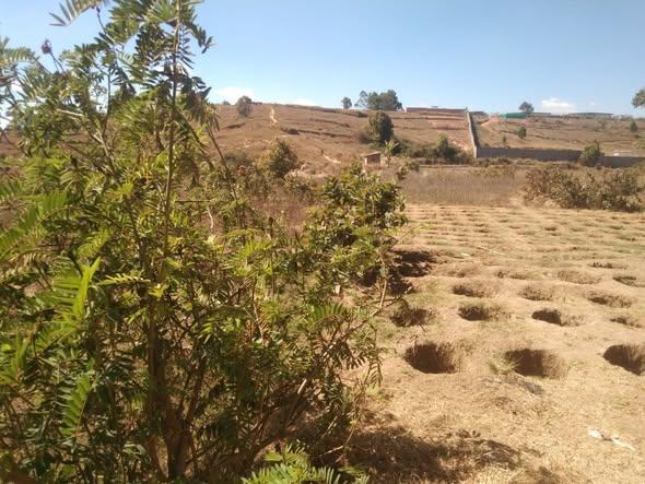 Terrain 300 m² à vendre — Anosiala - photo 1