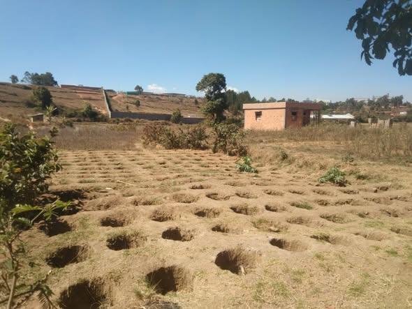 Terrain 300 m² à vendre — Anosiala - photo 2