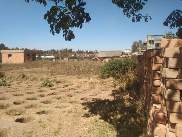Terrain 300 m² à vendre — Anosiala - photo 3